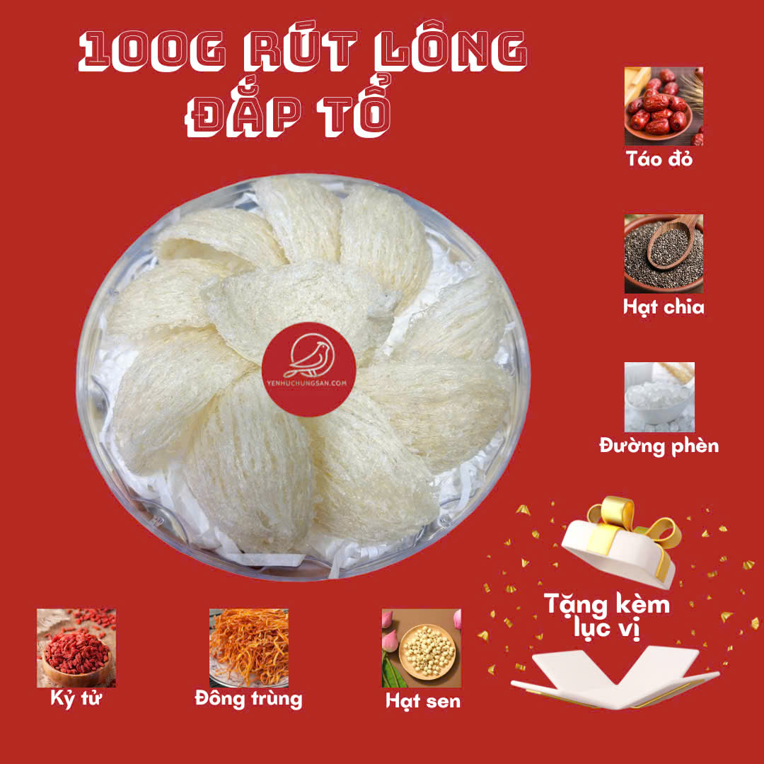 Yến rút lông đắp tổ